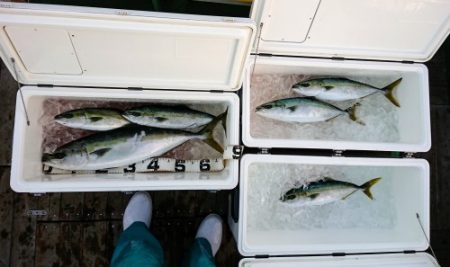 火遠理丸（ほおりまる） 釣果