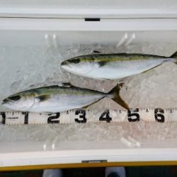 火遠理丸（ほおりまる） 釣果