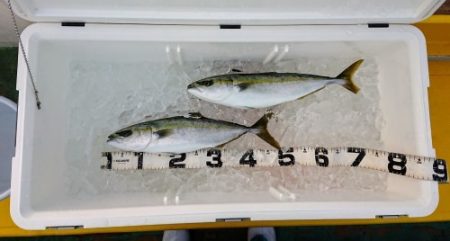 火遠理丸（ほおりまる） 釣果