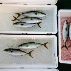 火遠理丸（ほおりまる） 釣果