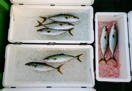 火遠理丸（ほおりまる） 釣果