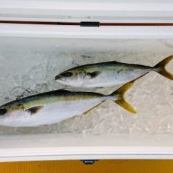 火遠理丸（ほおりまる） 釣果