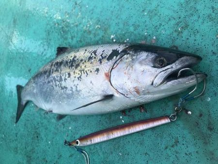 広進丸 釣果