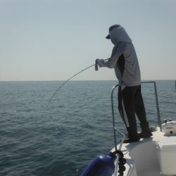 開進丸 釣果