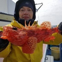 しまや丸 釣果