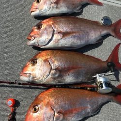 へいみつ丸 釣果