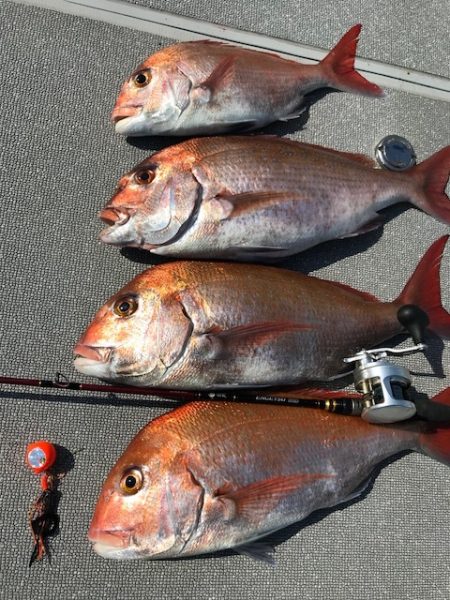 へいみつ丸 釣果