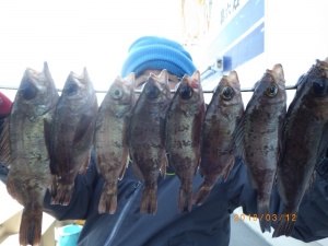 石川丸 釣果