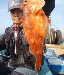 松福丸 釣果