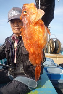 松福丸 釣果