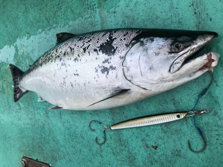 広進丸 釣果