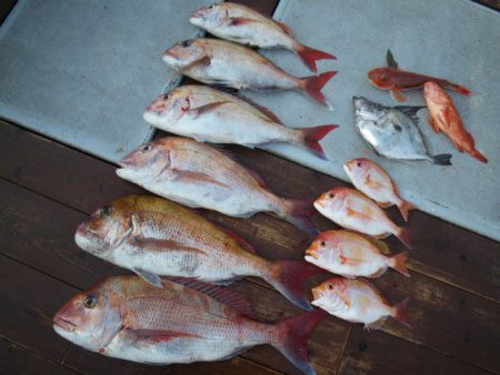 小海途 釣果