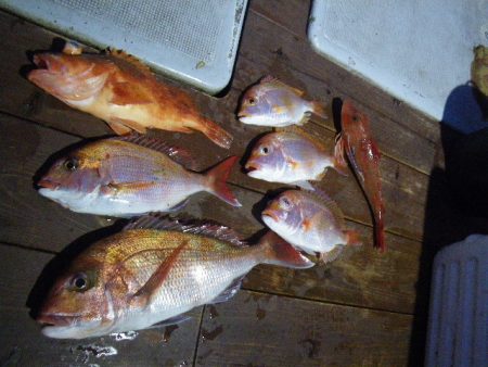 小海途 釣果