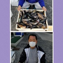 桑田観光 釣果