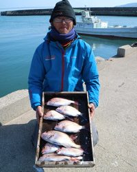 魚英 釣果