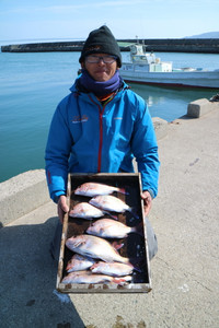 魚英 釣果