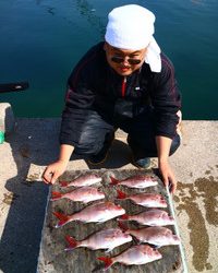 魚英 釣果