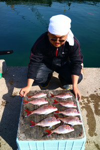 魚英 釣果