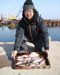 魚英 釣果