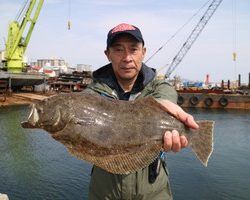 魚英 釣果