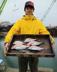 魚英 釣果