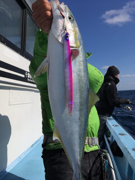 松鶴丸 釣果