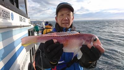 かねい丸 釣果