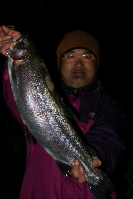 としまえんフィッシングエリア 釣果