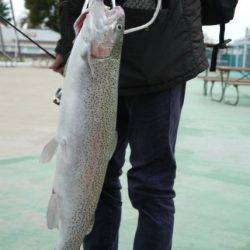 としまえんフィッシングエリア 釣果