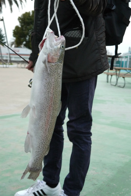 としまえんフィッシングエリア 釣果