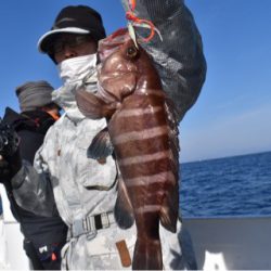 渡船屋たにぐち 釣果