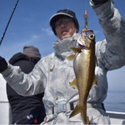 渡船屋たにぐち 釣果