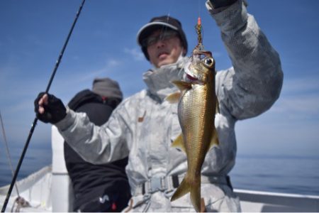 渡船屋たにぐち 釣果