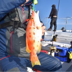 渡船屋たにぐち 釣果