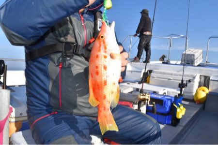 渡船屋たにぐち 釣果