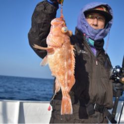 渡船屋たにぐち 釣果