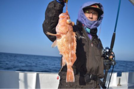 渡船屋たにぐち 釣果