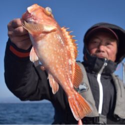 渡船屋たにぐち 釣果