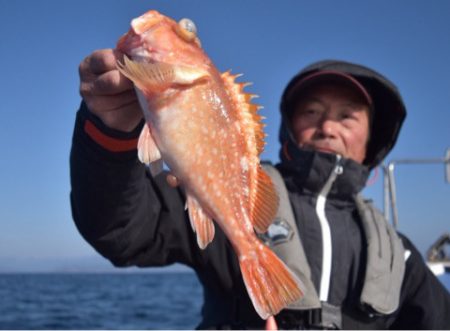 渡船屋たにぐち 釣果