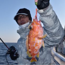 渡船屋たにぐち 釣果