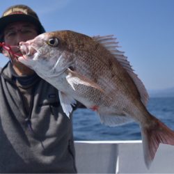 渡船屋たにぐち 釣果