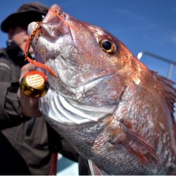 渡船屋たにぐち 釣果