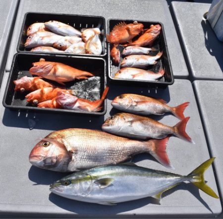 渡船屋たにぐち 釣果