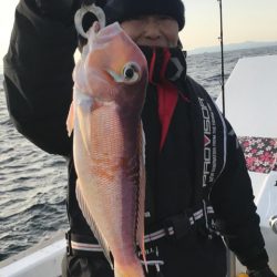 釣鯛洋 釣果