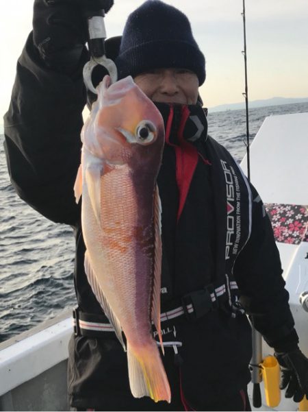 釣鯛洋 釣果