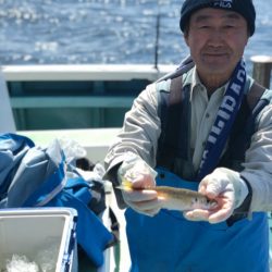 丸万釣船 釣果