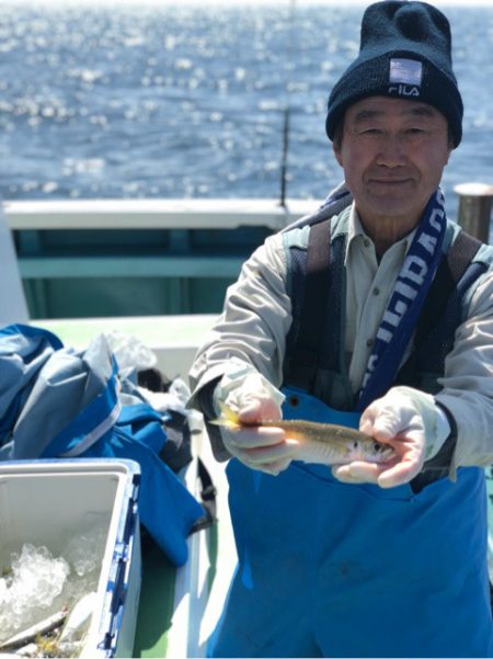 丸万釣船 釣果