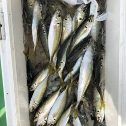 丸万釣船 釣果