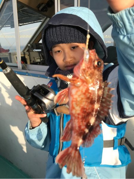 ヤザワ渡船 釣果