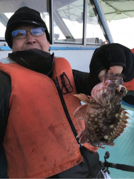 ヤザワ渡船 釣果